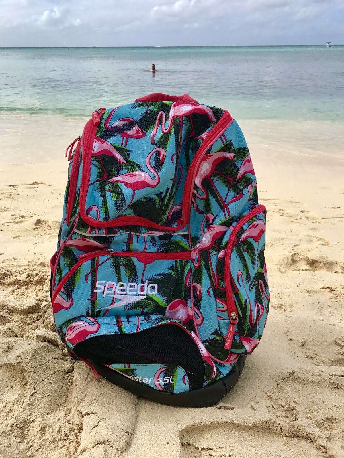 speedo beach bag