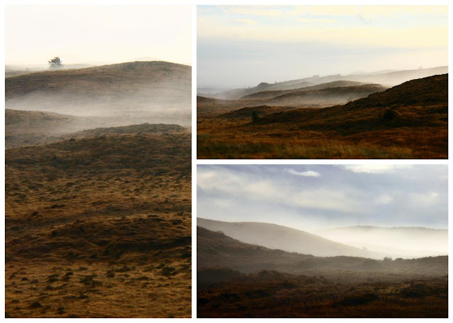 Connemara landscapes © Annie Japaud 2014  