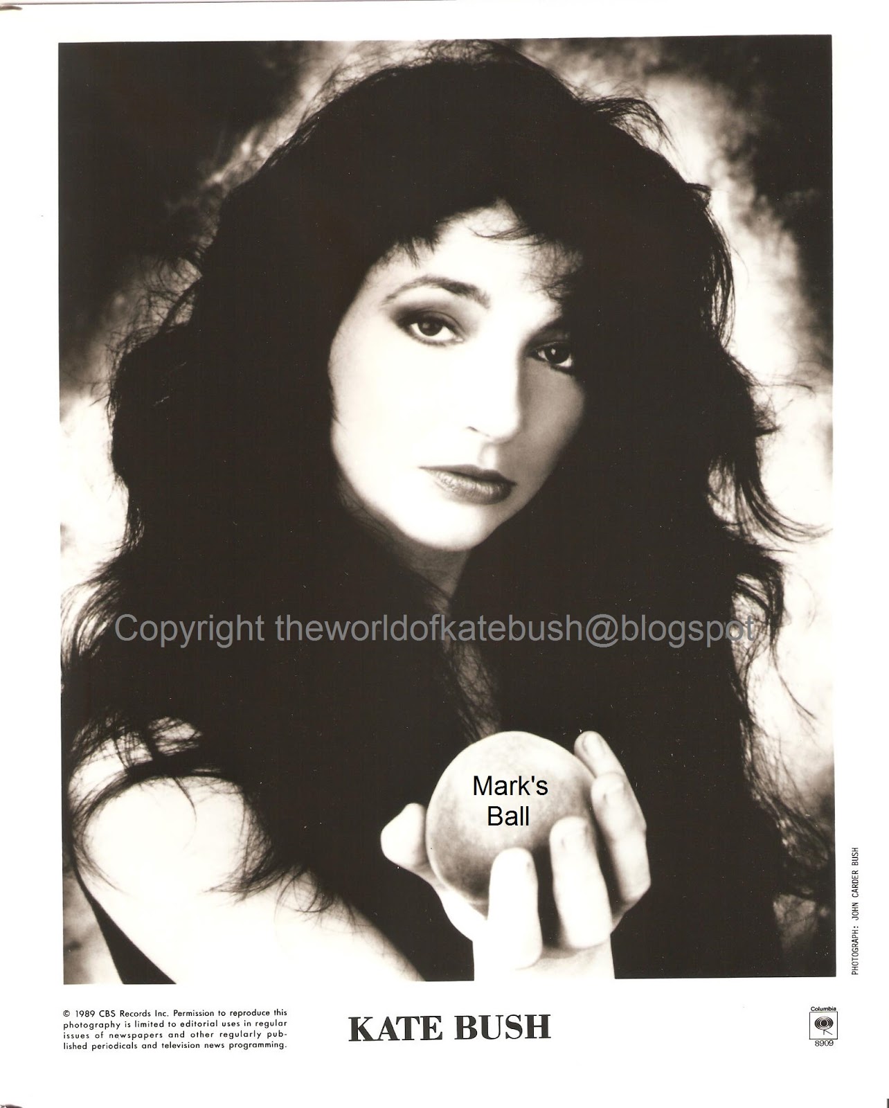 THE WORLD OF KATE BUSH The