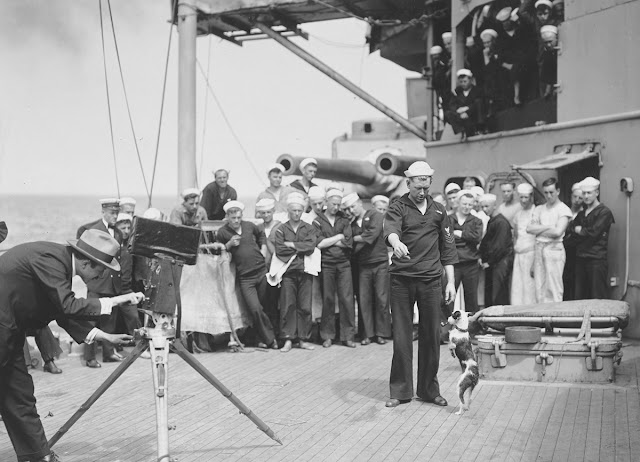 Original caption: Mascot of the U.S.S. Pennsylvania, amusing some of the sailors.
