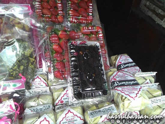Blackberry Kawah Putih Blackberry Kawah Putih