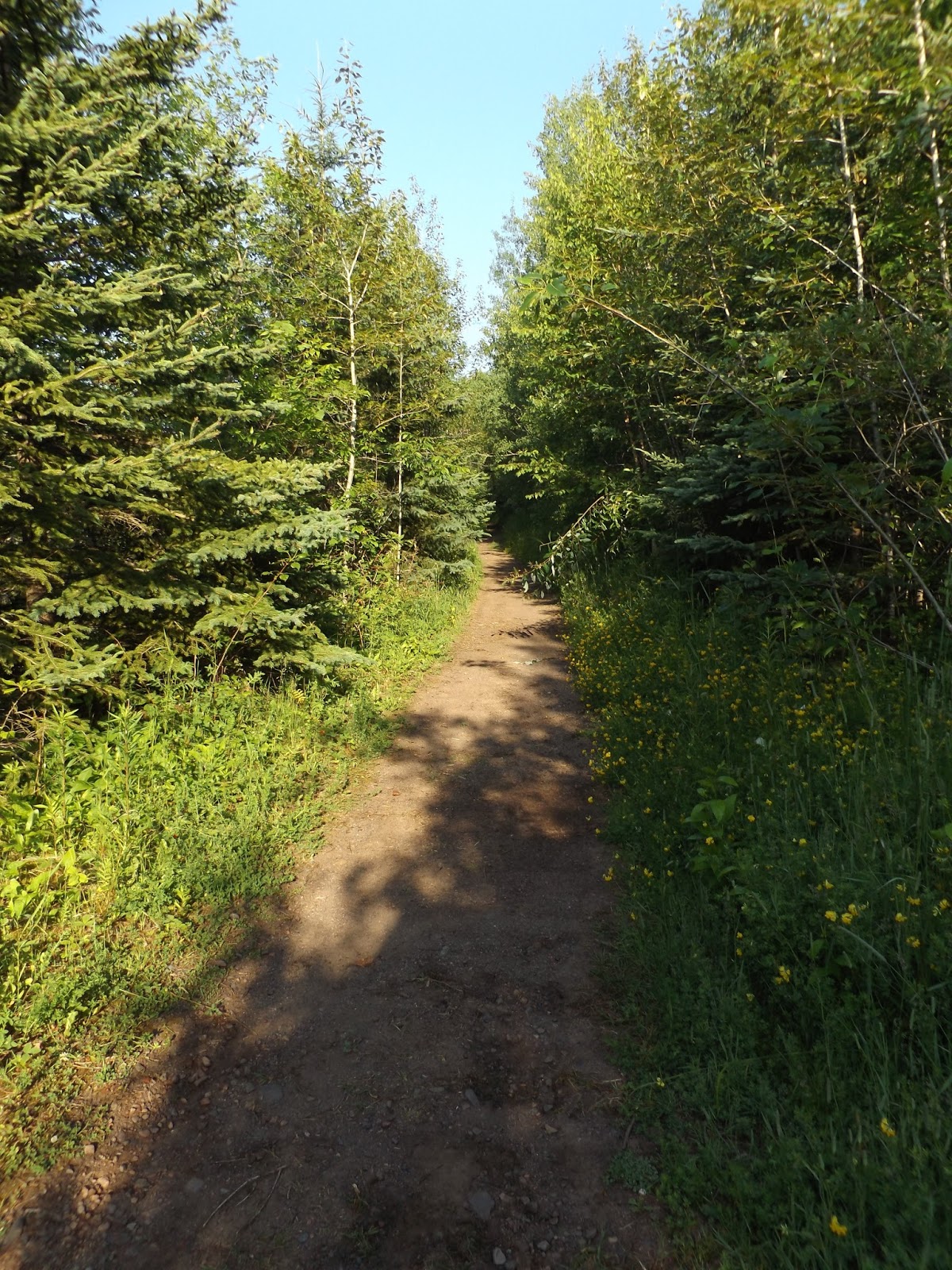 Day Hiking Trails Photo Album of Knife River Rest Area Trail