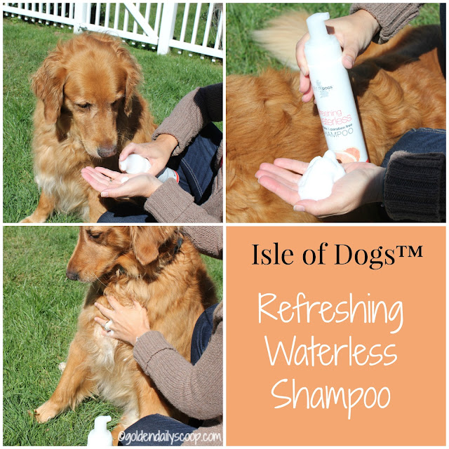 keep your dog clean in between baths with isle of dogs waterless shampoo