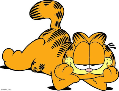 Garfield Cat Breed Exotic Shorthair