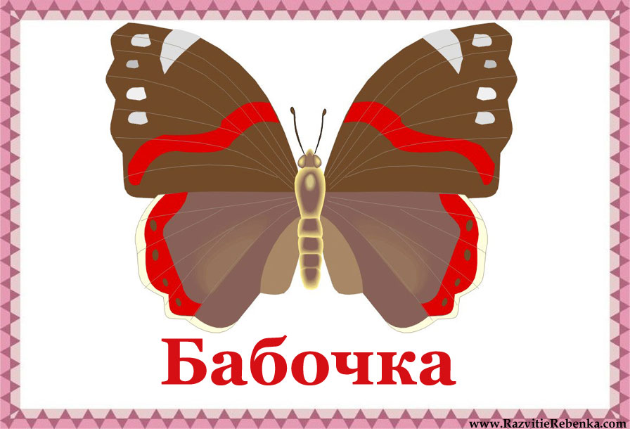 поговорки про бабочек. словарное слово бабочка. проект на слово бабочка. слово бабочка. бабочка по слогам.