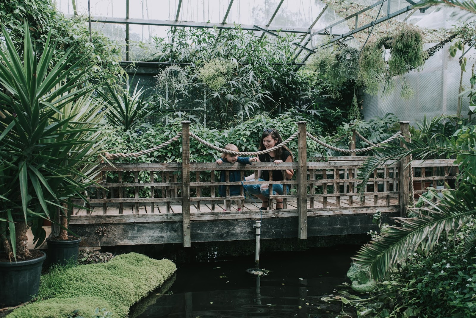 A Trip To Urban Jungle, Norwich Little Paper Swans