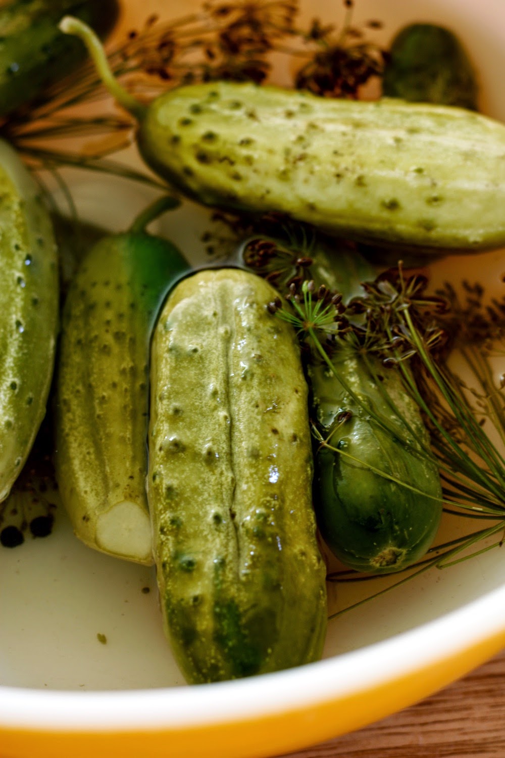 ben-and-birdy-dill-pickles
