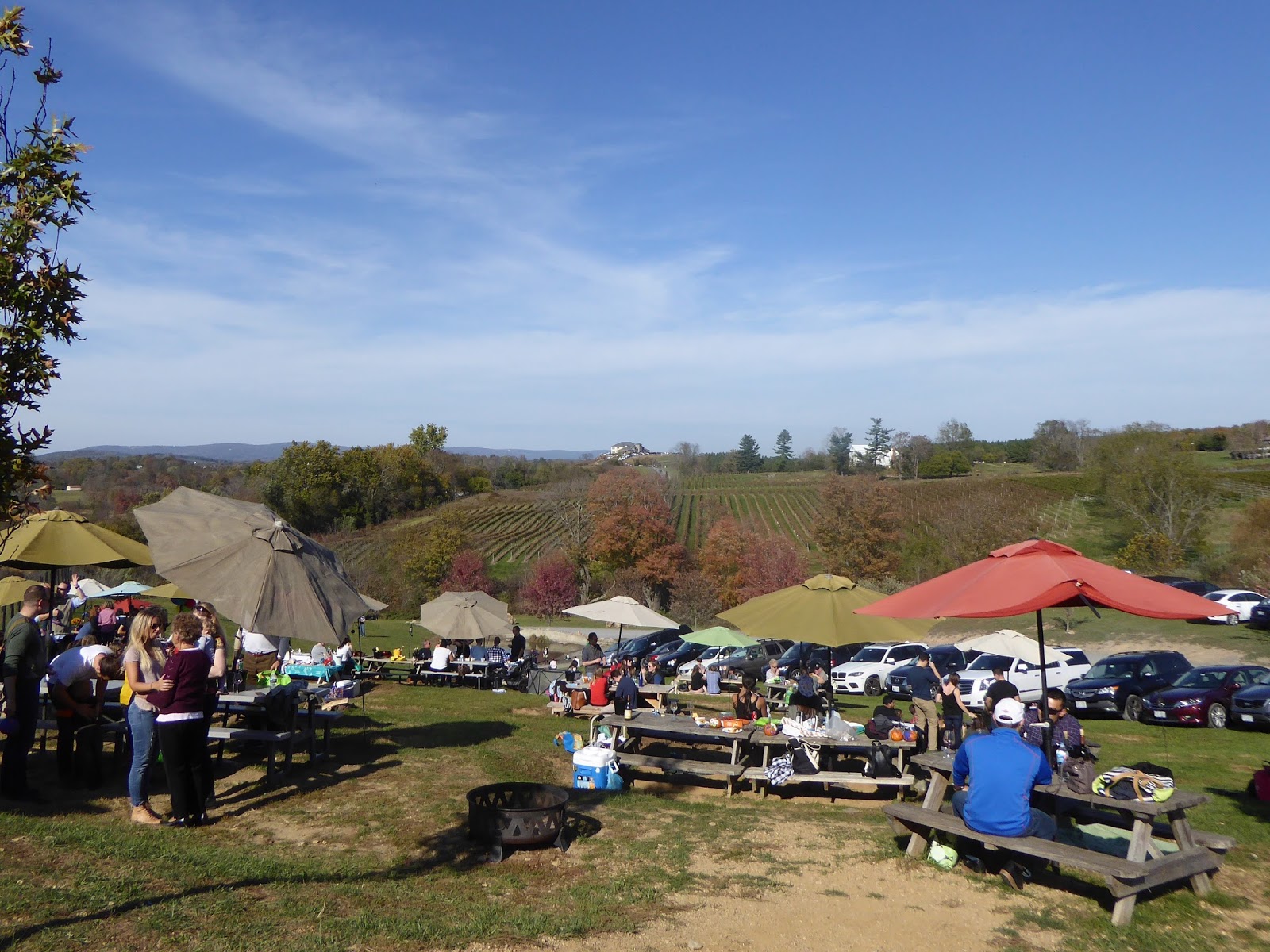 EARLY RISING ON CHAUTAUQUA LAKE An Afternoon At Barrel Oak Winery