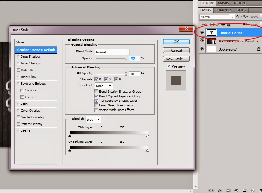 text styles in photoshop cs5