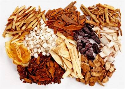 [Image: nhung-bai-thuoc-nam-chua-benh-dau-lung.jpg]