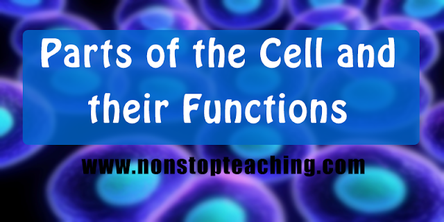 Parts of the Cell and their Functions