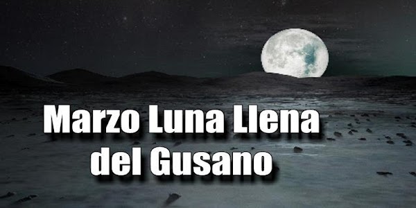 Luna Llena de gusano, la ultima Superluna del 2019 Luna Llena de gusano, la ultima Superluna del 2019