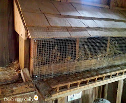 nesting chicken boxes coop keeping secret clean corners fresheggsdaily chickens edges bend rough
