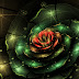 Top 14 Fractals By Lucid-light