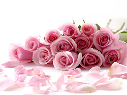 pink rose wallpapers roses backgrounds rosa flowers flower fiori floral compleanno auguri dia rosas para flores colour tag internacional