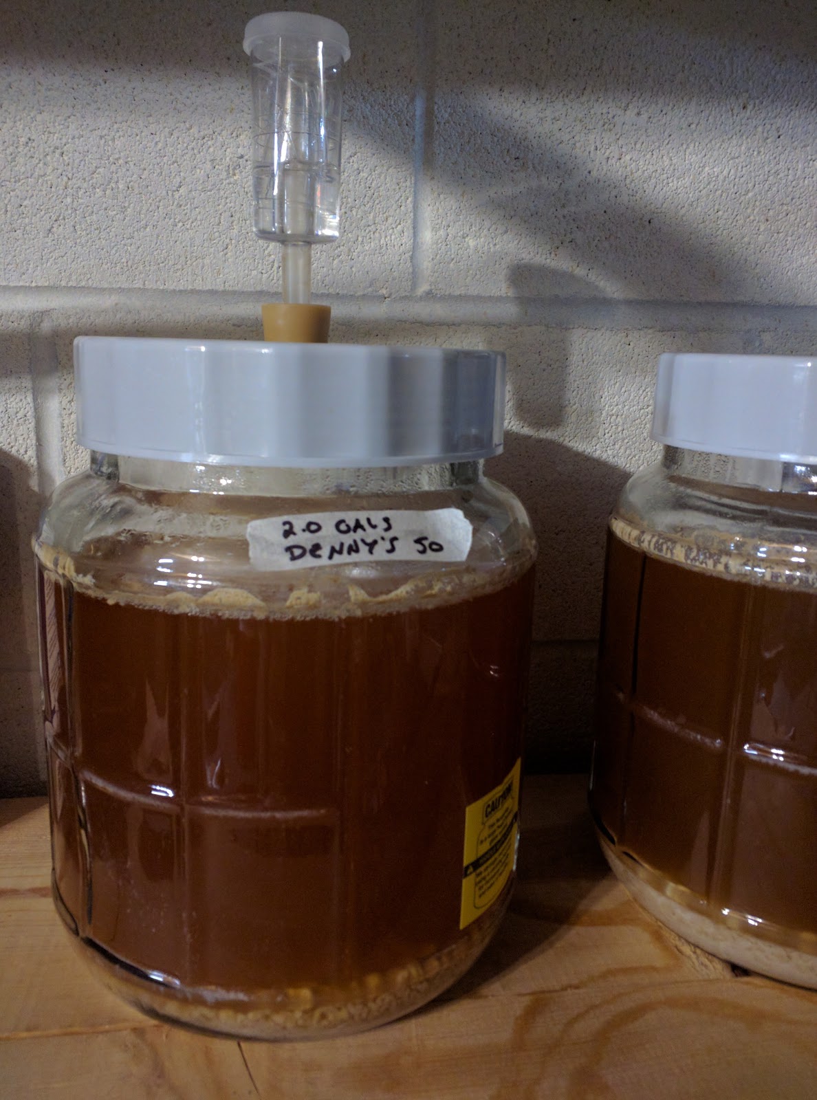 Starting Gun Ale A Yeast Revival and Brewing Experiment