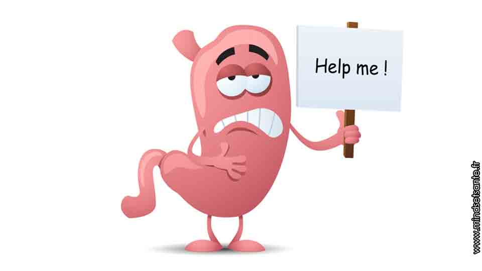 Diététique et Naturopathie L'importance de l'Alimentation DIGESTE