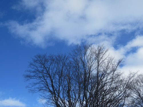 blue sky