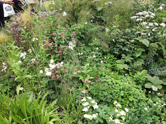 Chelsea Flower Show 2018 jarzmianki w kompozycji