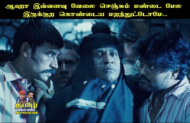 roflphotos-dot-com-photo-comments-201707