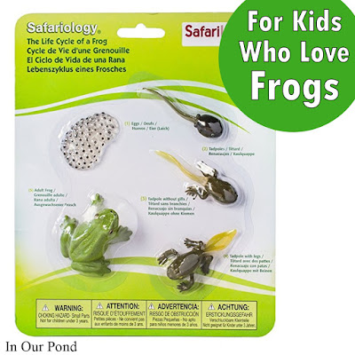 Gifts for Kids who Love Frogs- a Gift Guide from In Our Pond