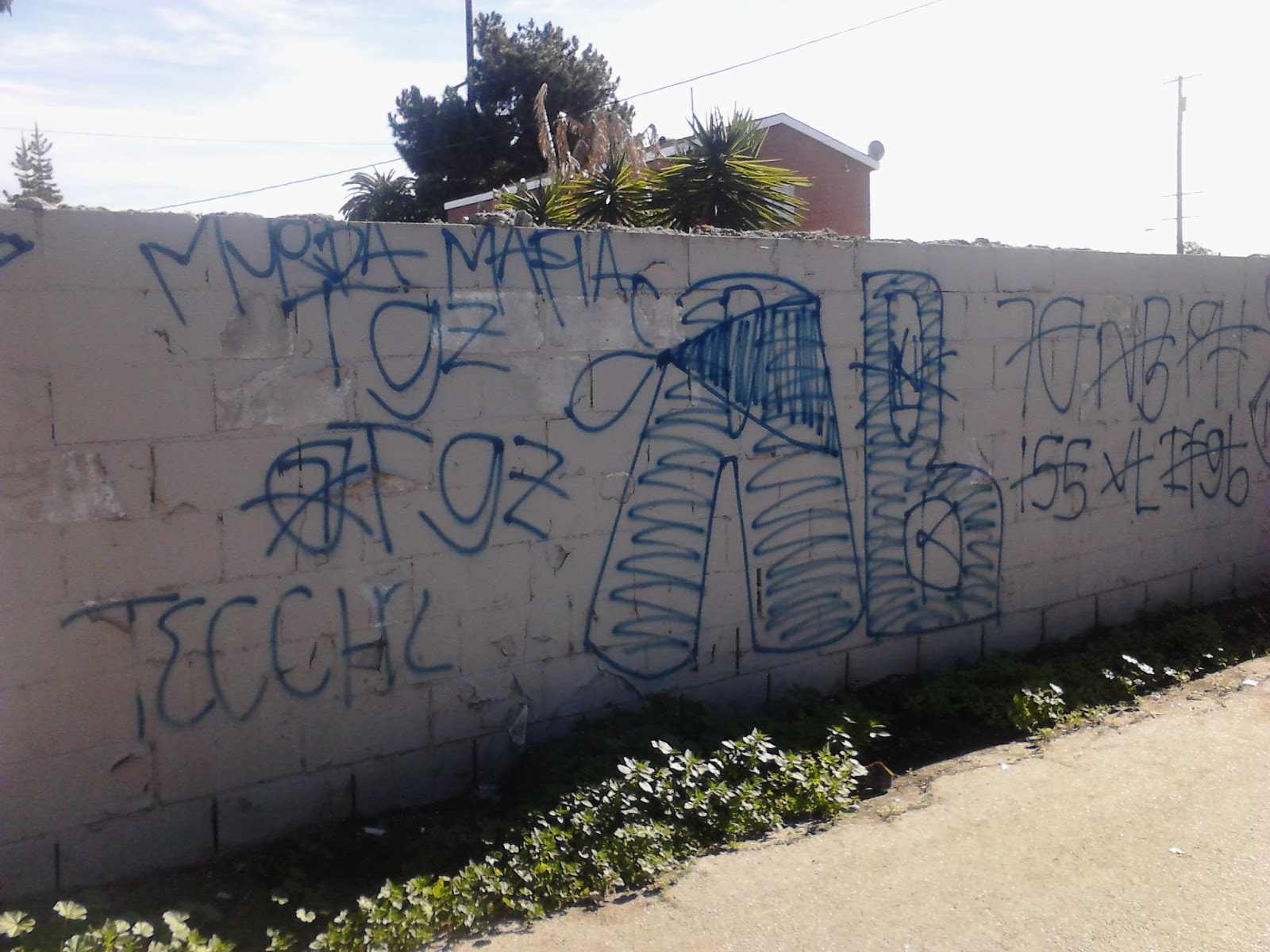 crip gangs graffiti Acacia block compton crip ( ABCC )