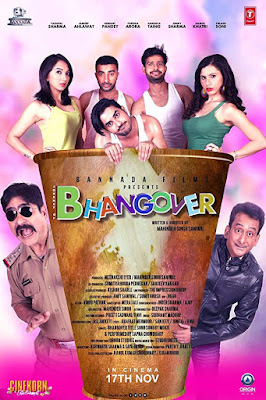 Journey of Bhangover 2017 Hindi HDTV 480p 300Mb x264