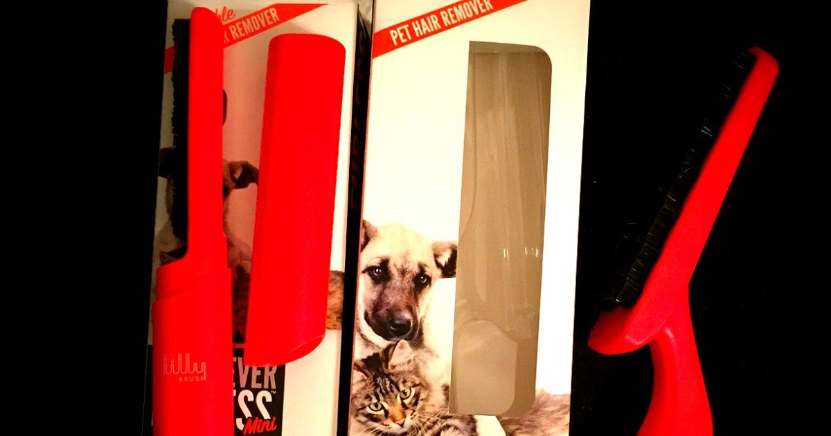 Cat and DOG Chat With Caren Pet Hair RemoverLilly Brush "Be Forever