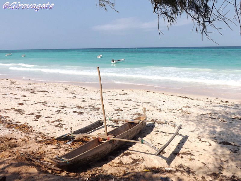 delfini Zanzibar Kizimkazi