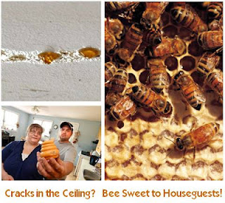 Bees’ Home Office. Image Collage by Wo-Built
