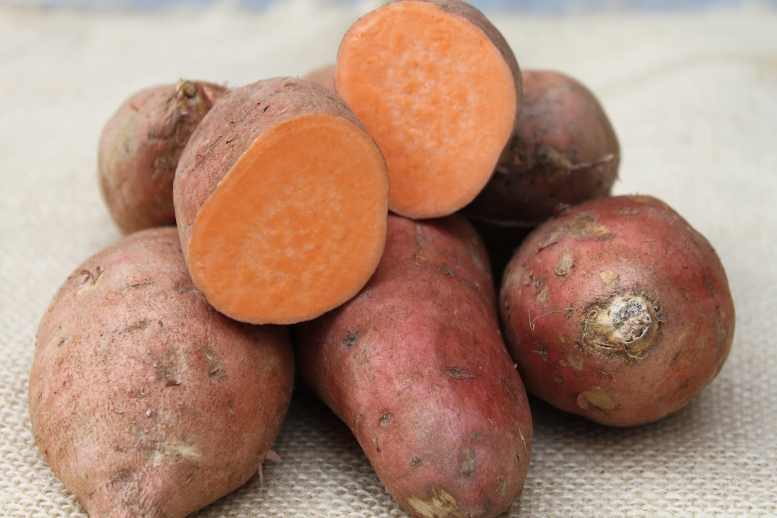 Pots and Frills Spicy Sweet Potato and Goat Cheese Cream or Soup