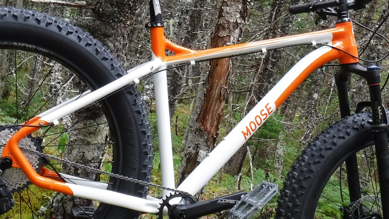 moose fat bike review