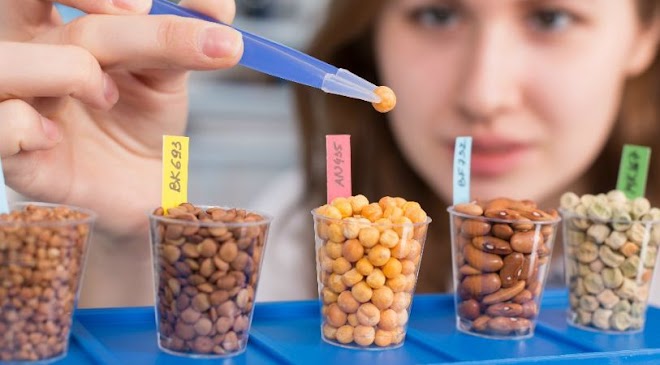 Indikator Keberhasilan Tahapan Produksi Masal