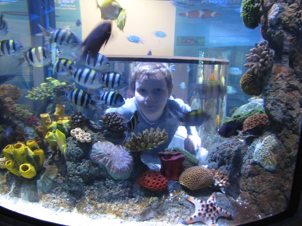 Let's come together: Лего-рай. Любителям Лего посвящается (много фото).