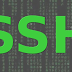 Scan SSH simple with Nmap - working 22/3/2016