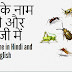 कीड़ों  के नाम हिन्‍दी और अंग्रेजी में -  Insects Name in Hindi and English 