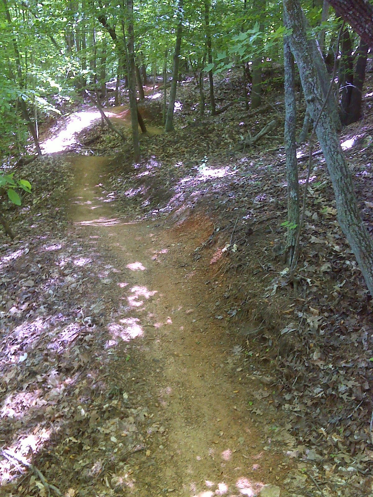 Heart and Sole Hike through Greensboro Lake country