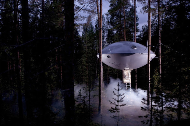 شاهد صور 29 منزل فوق الأشجار سيعجبك أن تعيش بها  Top-29-Treehouses-UFO-740x493