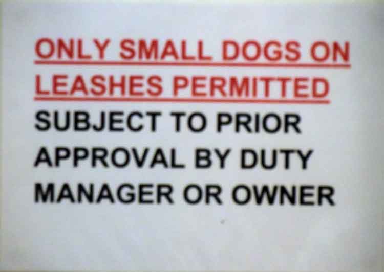 . Tasting and overnight at Simonstown's Lord Nelson Inn; Fish & chips at Salty Sea Dog