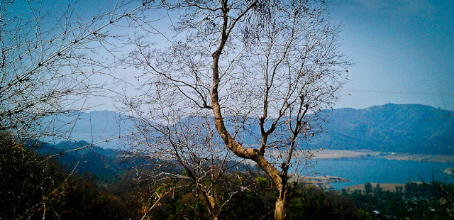 Mobile-Giri from a bus near Govind-Sagar Lake @ Lathiani, Una, Himachal Pradesh !!! :  Posted by VJ SHARMA on www.travellingcamera.com : The reservoir on the river Sutlej which was formed after the hydel dam at Bhakra was constructed and has been named in honour of Guru Gobind Singh, the 10th Sikh guru. Gobind Sagar Lake is spread over different parts of Bilaspur and Una districts of Himachal Pradesh...This time I was going to Ludhiana in a bus and thought of clicking some photographs of Gobin Sagar Lake with my new HTC Dezire HD. Gobin Sagar Lake comes on the way when we move towards Una/Chandigarh from Hamirpur... Also it comes on the way when we move to Chandigarh from Hamirpur/Mandi/Kullu/Manali via Bilaspur. So I always see this lake whenever I go my Home from Delhi :)Water level this time was very low... I have seen this lake many times in summers, but this time it was rarely visible due to very low water level.There is very clear view of Gobind Sagar Lake, when we cross a small town called Barsar. Aftr crossing Barsar, we climb up a hill and then a downhill starts till Lathiani. This is the stretch when lake is visible...In the months of October and November water level of the reservoir goes high and a series of regattas are also organised by the Tourism and Civil Aviation department... Water-skiing, sailing, kayaking and water scooter racing are popular water sports activities during this period.Major attractions of the lake include ferry rides and water sports like speedboating.Two years back, roads near this lake were very risky and narrow. This time I was really happy to see smooth and wide roads...Gobind Sagar was declared as a water fowl refuge in 1962. Fishing is commonly practiced here. It has about fifty one species and sub species. Labeo dero, Tor pitutrata, Mystus seenghala and Mirror carp are some of the common species found here.During summers some part of the lake is completely dry and look like Sholey's location where Gabbar used to stay with his gang !! Rocks and sand without any tree or grass !!! I rarely find time to plan one day trip to this place during summers. Hope to go their soon ! Many punjabi movies are shot near this lake...In Bilaspur, many temples can be seen at the ground level during summers. These temples belongs to the times of king of Bilaspur and  after monsoons they get covered by water !!!