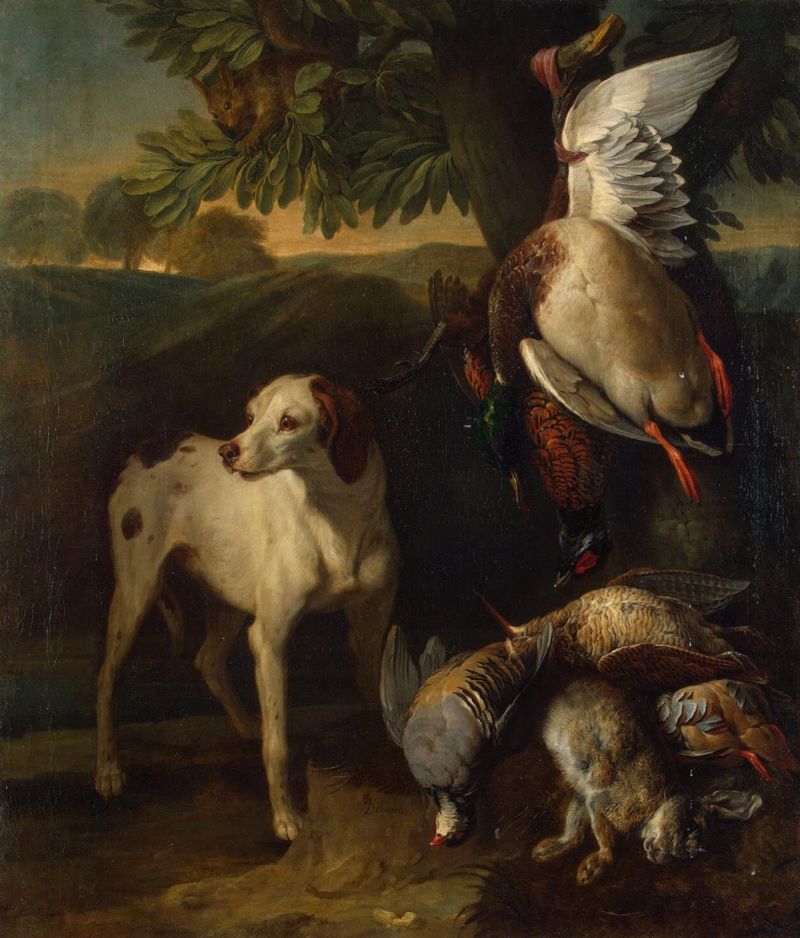 Dog Guarding Food From Cats Dog Guarding Food From Cats