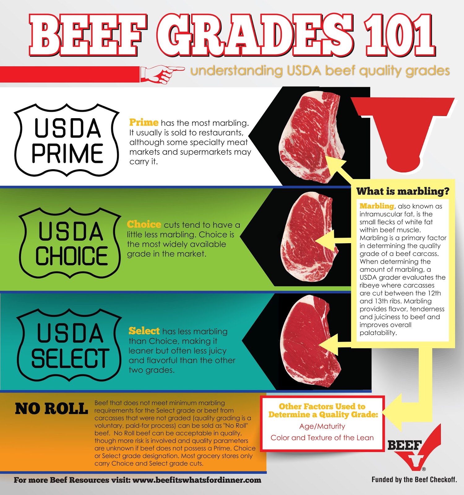 beef grading quality student worksheet