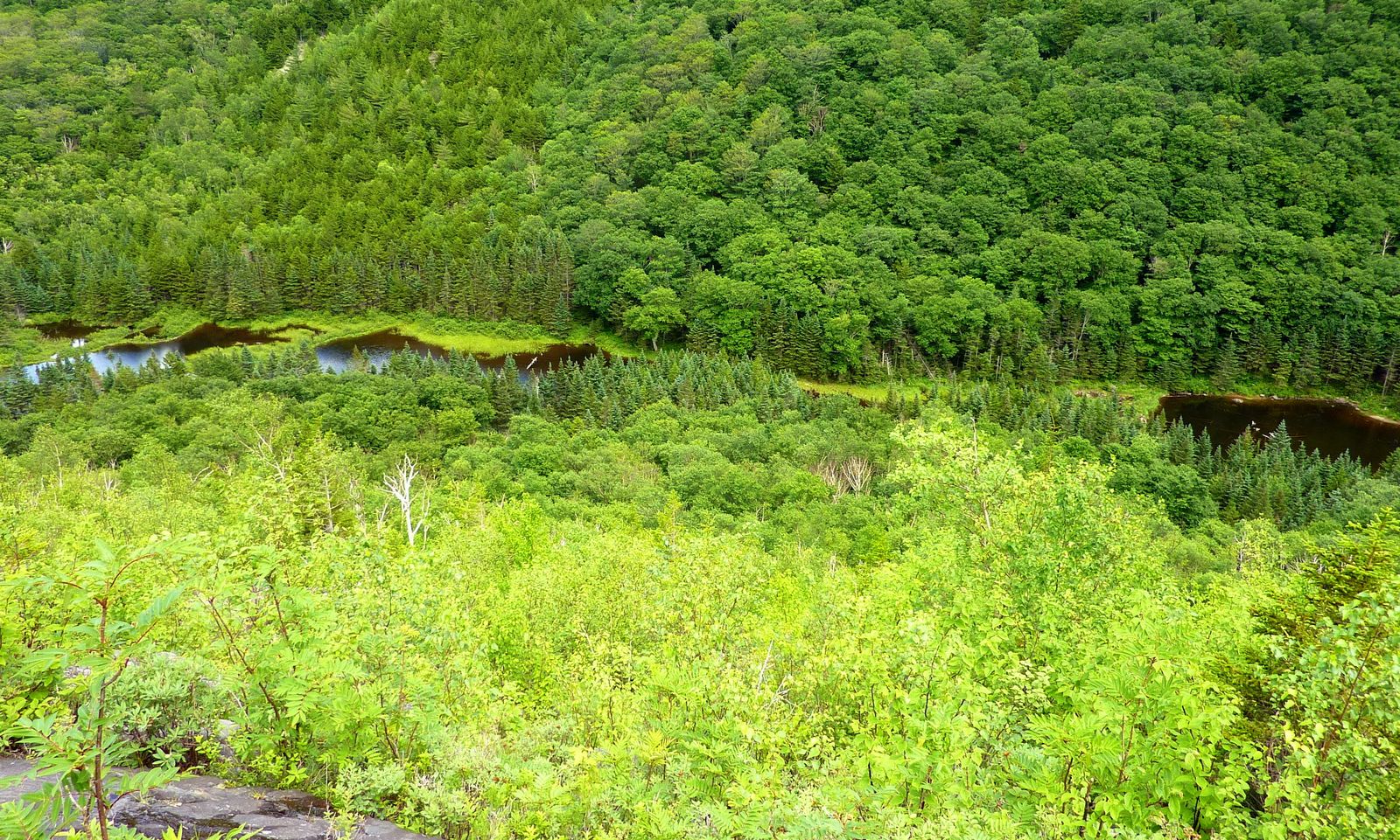 1HappyHiker Tunnel Brook Trail; Cliffs of Clough; Exploring an Unnamed