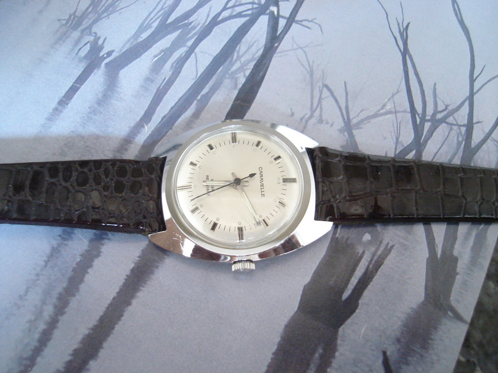 vintage watches: Caravelle RM380