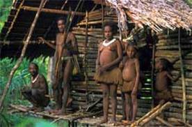 Suku Korowai Papua Dan Rumah Pohon Terunik Di Dunia - Raja Alam Indah