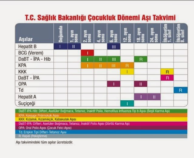 BEBEĞİM aşı tablosu
