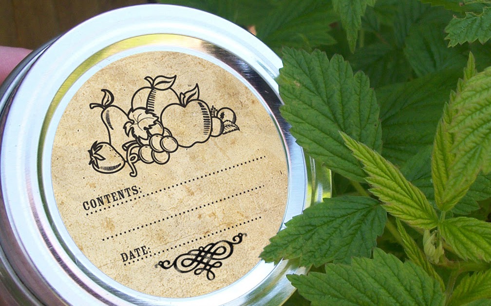 Colorful Adhesive Canning Jar Labels: New canning jar labels in my etsy shop!