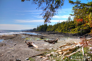 Botanical Beach Provincial Park Port Renfrew Vancouver Island