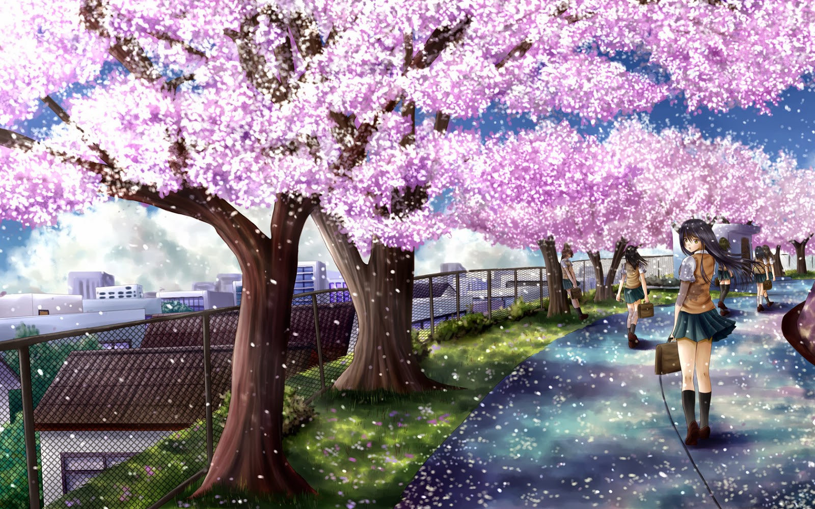 Sakura Tree HD Wallpaper