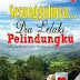 Sesungguhnya.. Dia Lelaki Pelindungku oleh Wan Rohayu (2014)